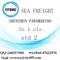 Shenzhen-Hafen LCL Konsolidierung nach Paramaribo